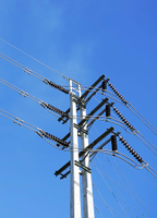 Distribution Network